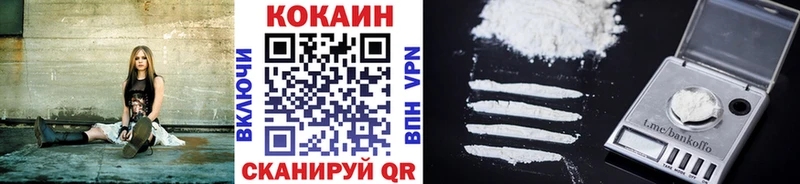 hydra маркетплейс  Дорогобуж  Cocaine Fish Scale 
