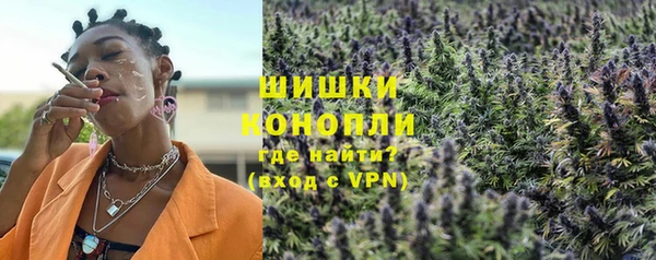 сатива Гусев