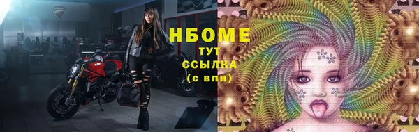 прущие грибы Тутаев