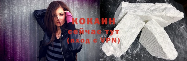прущие грибы Ступино