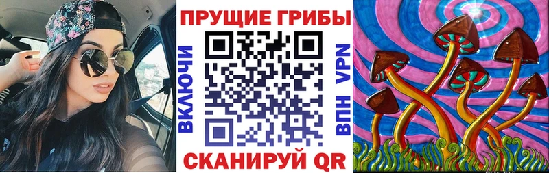 Галлюциногенные грибы MAGIC MUSHROOMS  Дорогобуж 